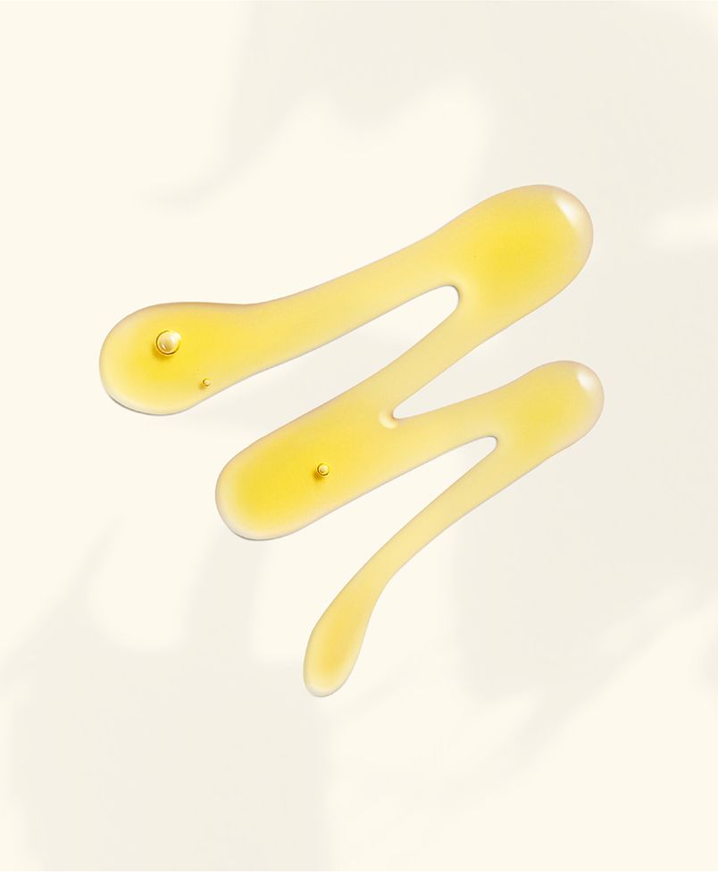 slide_2_f225ccb27e